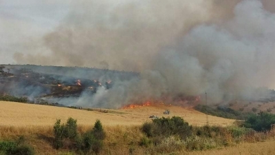 باجة: حريق في حقل يتسبب في إتلاف 7 هكتارات من القصيبة