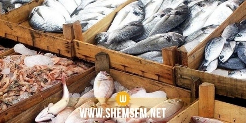 مدنين: تطور إنتاج الصيد البحري حتى موفى شهر أوت بنسبة 16% مقارنة بالموسم الفارط