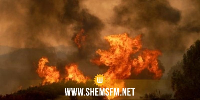  متواصل منذ الثلاثاء الماضي: نشوب حريق في المنطقة العسكرية المغلقة بجبل السلوم في القصرين