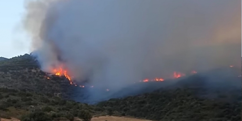 الحماية المدنية بباجة: 'حريق جبل المرة تحت السيطرة وفي مراحل متقدمة من إخماده'
