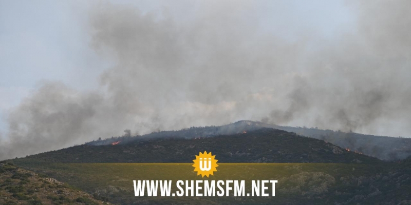 سليانة: اندلاع حريق بجبل عين زكار من معتمدية برقو