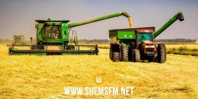  سليانة: تحديد موعد 28 ماي الجاري لإفتتاح موسم حصاد الشعير و7 جوان لحصاد القمح