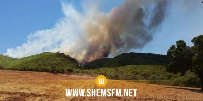 باجة: صعوبات في إطفاء حريق أتى على 156 هكتارا من الأشجار الغابية رغم استعمال الطائرة