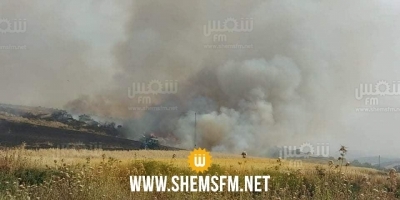سليانة: السيطرة على حريق هائل بأرض زراعية بمنطقة سيدي عمارة في برقو
