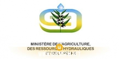 Ministère de l’Agriculture: la récolte d’alfa devrait atteindre 30 mille tonnes pour cette saison