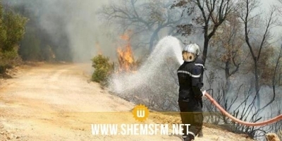 سليانة: السيطرة على حريق جبل لشيهب بالكريب بنسبة 95 %