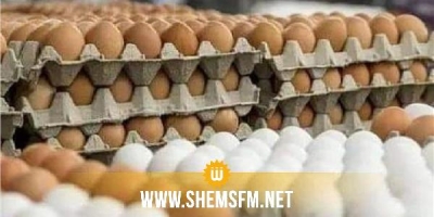 سيدي بوزيد: حجز 30000 بيضة على متن شاحنة خفيفة تعمّد صاحبها مسكها دون أن تتوفر فيه صفة التاجر