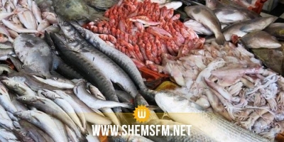 إرتفاع صادرات الصيد البحري بـ19.9%
