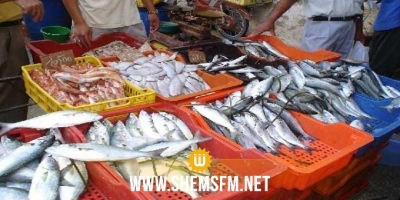  تحديد هامش ربح أقصى لتوزيع منتجات الصيد البحري بالتفصيل بـ 25%