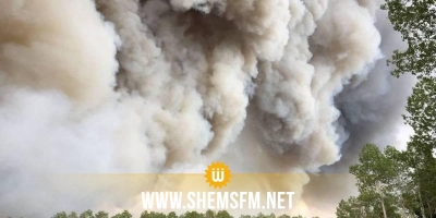 دخان حرائق الغابات في كندا يصل إلى النرويج