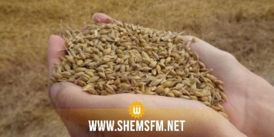 27 mille tonnes de blé tendre déchargé au port commercial de Sfax 