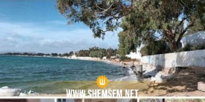 Les plages de Hammamet menacées par « une catastrophe écologique »