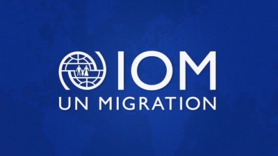 OIM : 272 مليون مهاجر دولي في جميع أنحاء العالم 