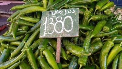 أسعار اليوم للخضر والغلال واللحوم والاسماك  في سوق باجة