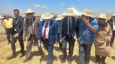 باجة: وزير الفلاحة يتابع تقدم موسم حصاد الحبوب (صور)
