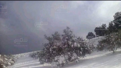 باجة: الثلوج تغطي مرتفعات عمدون (صور)