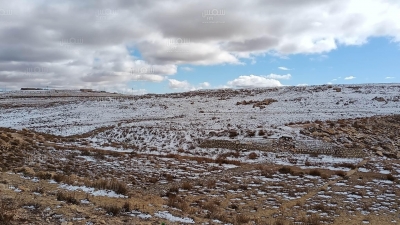القصرين : مرتفعات منطقة الشار بمعتمدية تالة تتزين بالثلوج
