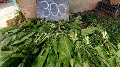  أسعار اليوم من سوق باجة (صور)