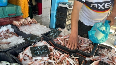 القيروان: الأسعار اليوم في سوق الرحبة (صور)