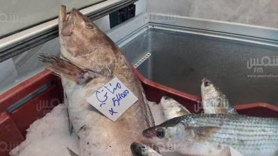 راس الجبل: ارتفاع أسعار الأسماك بالسوق البلدية 