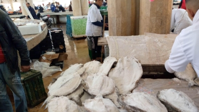 صفاقس: أجواء بيع وشراء الحوت المالح بسوق السمك بالمدينة العتيقة